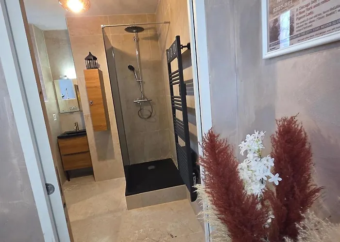 Ideal Pour Deux Avec Acces Bain Nordique Lägenhet Asson